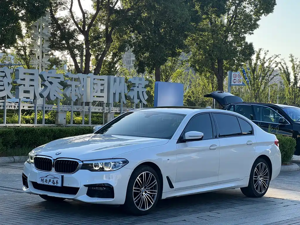 BMW 5 Series 5 2019 530Li Lead M Sport