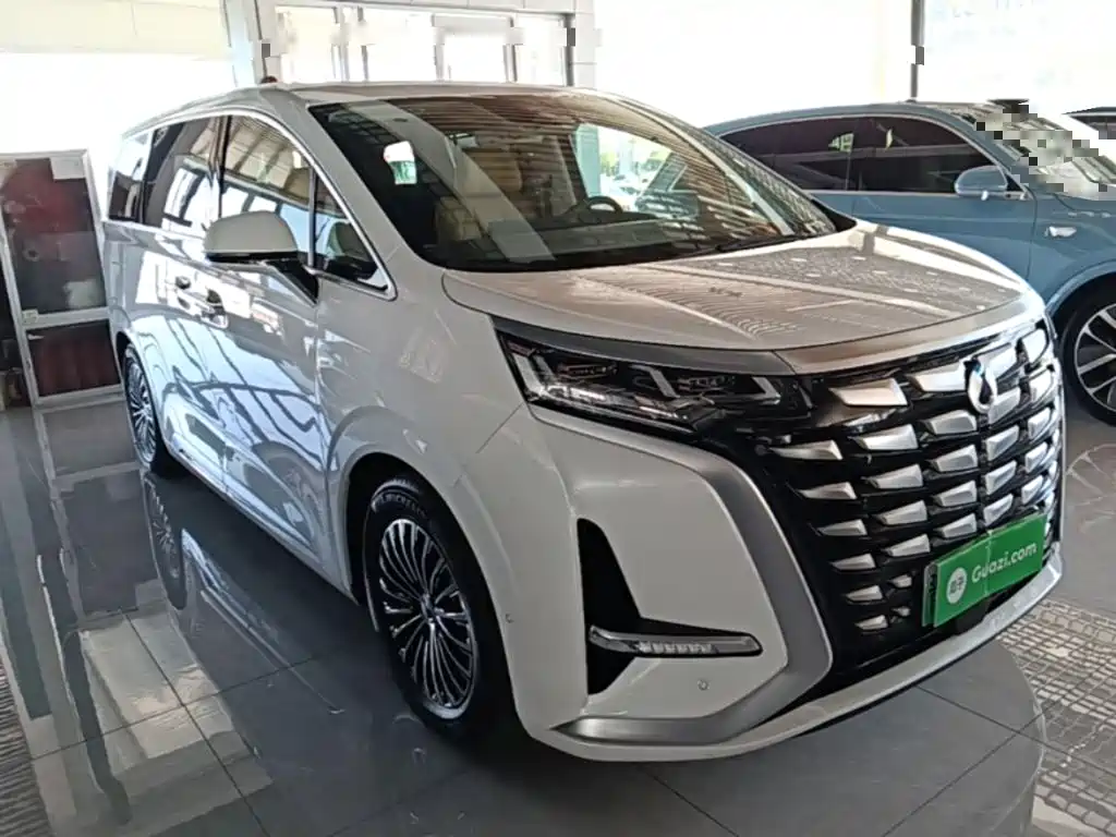 Denza Denza D9 — миниатюра 4