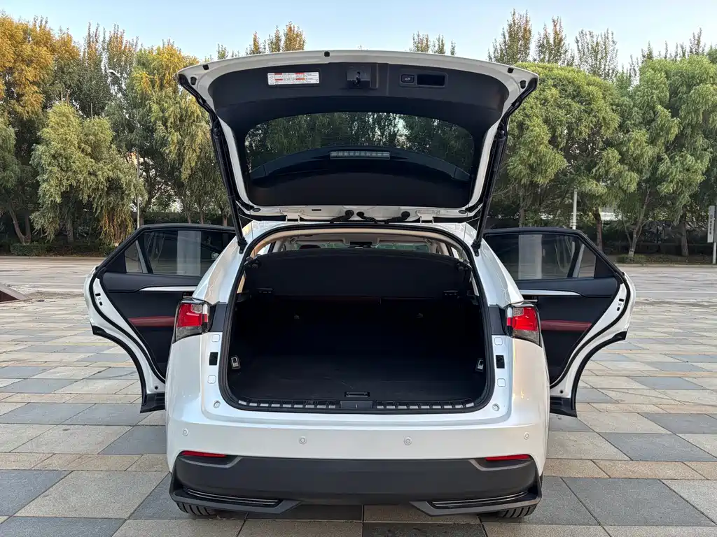 Lexus NX — миниатюра 25