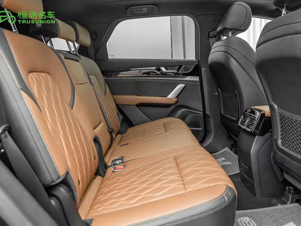 BYD Tang New Energy — миниатюра 16
