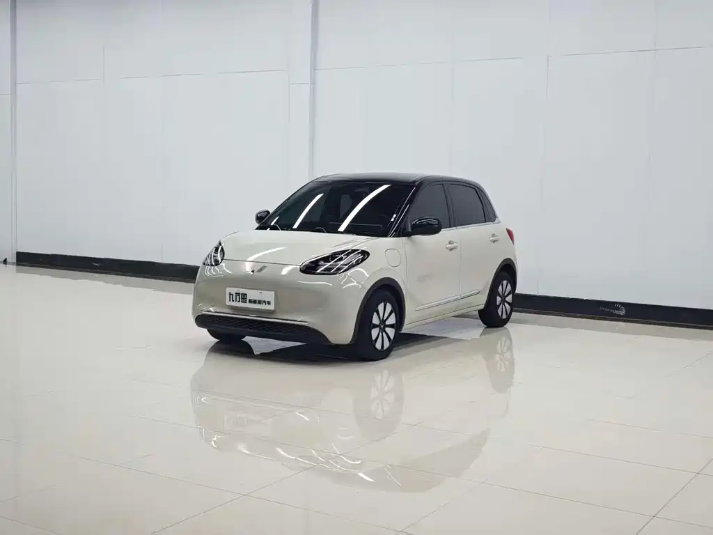 Wuling Bingo