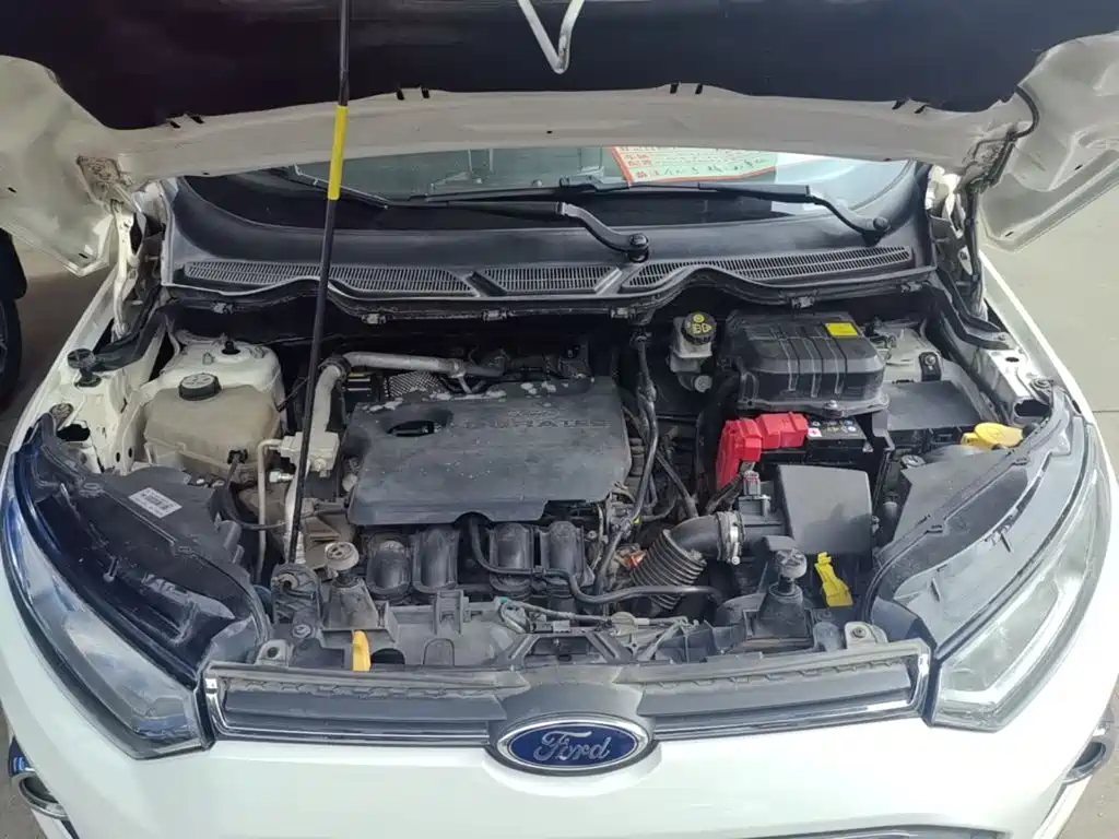Ford Ecosport — миниатюра 20