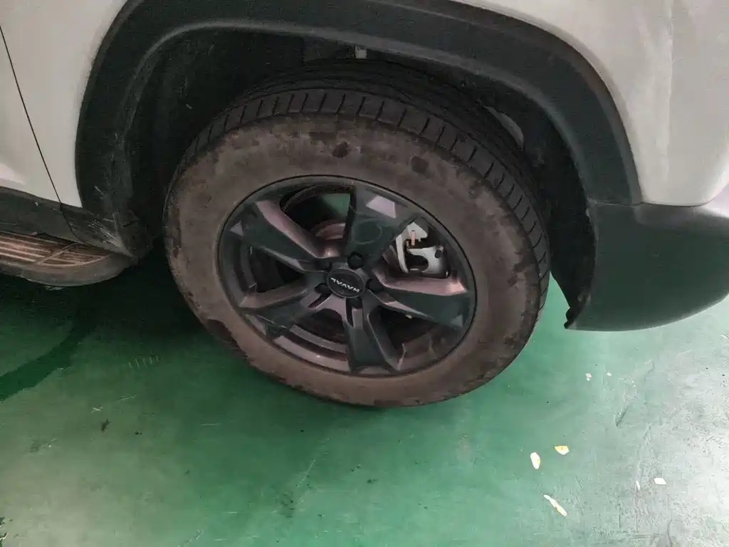Haval Menglong New Energy — миниатюра 25