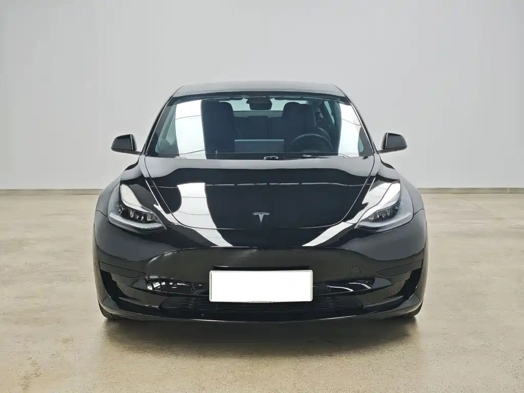 Tesla Model 3 — миниатюра 2