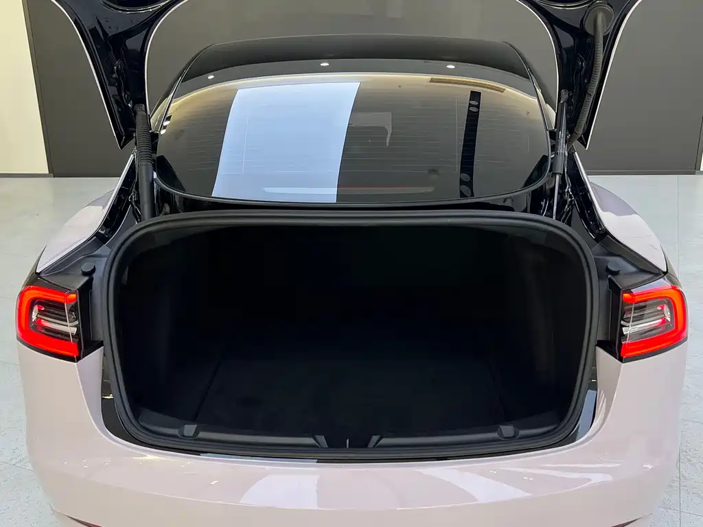 Tesla Model 3 — миниатюра 6