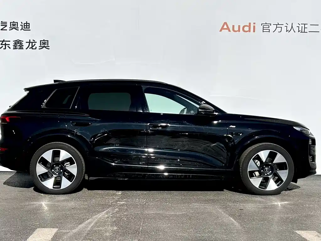 AUDI Q6L E TRON