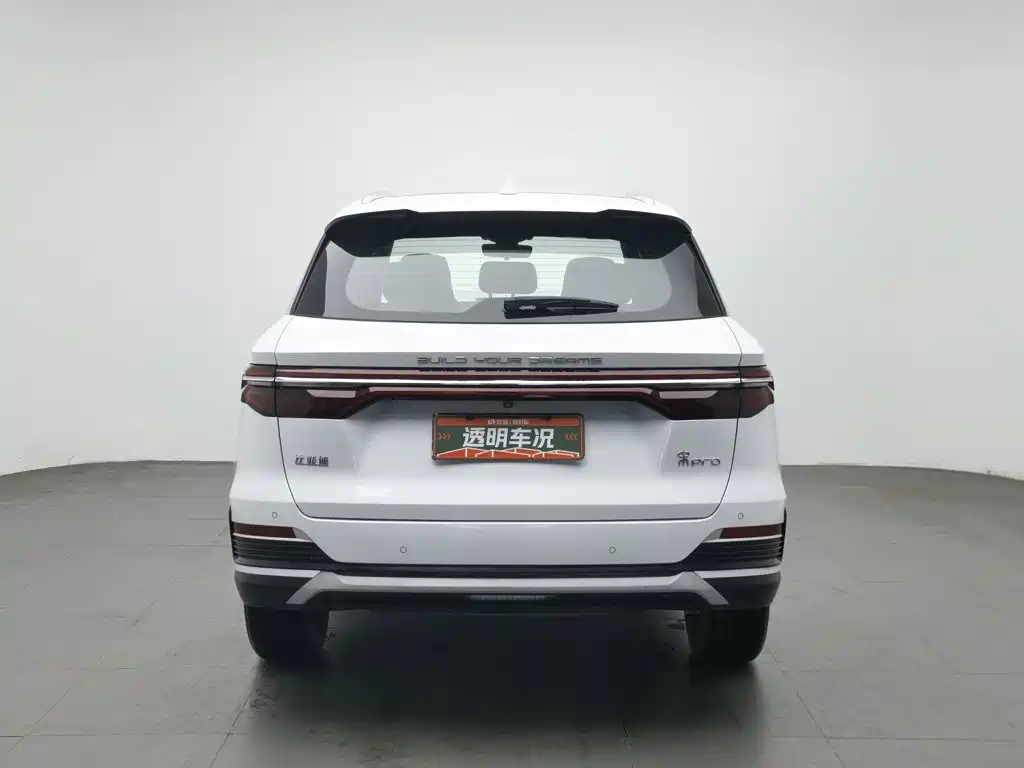 BYD Pro — миниатюра 4