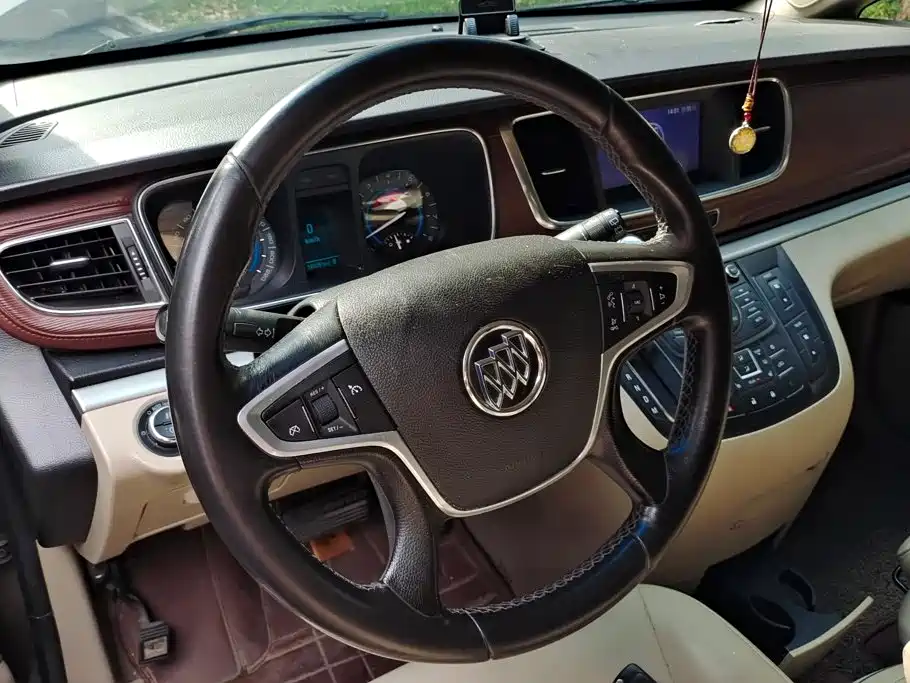 Buick GL8 — миниатюра 15