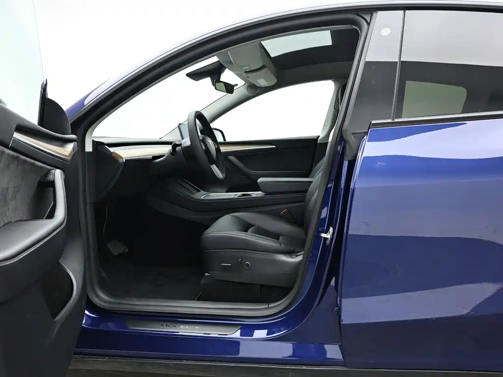 Tesla Model Y — миниатюра 10