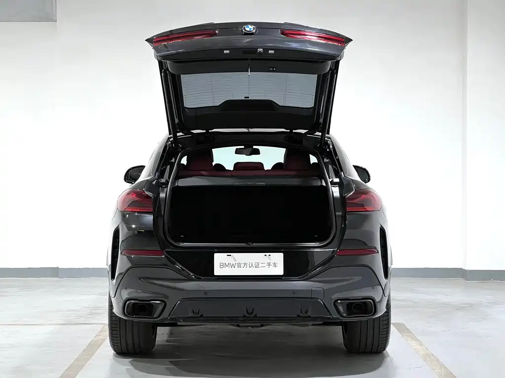 BMW X6 2022 xDrive30i M Sport