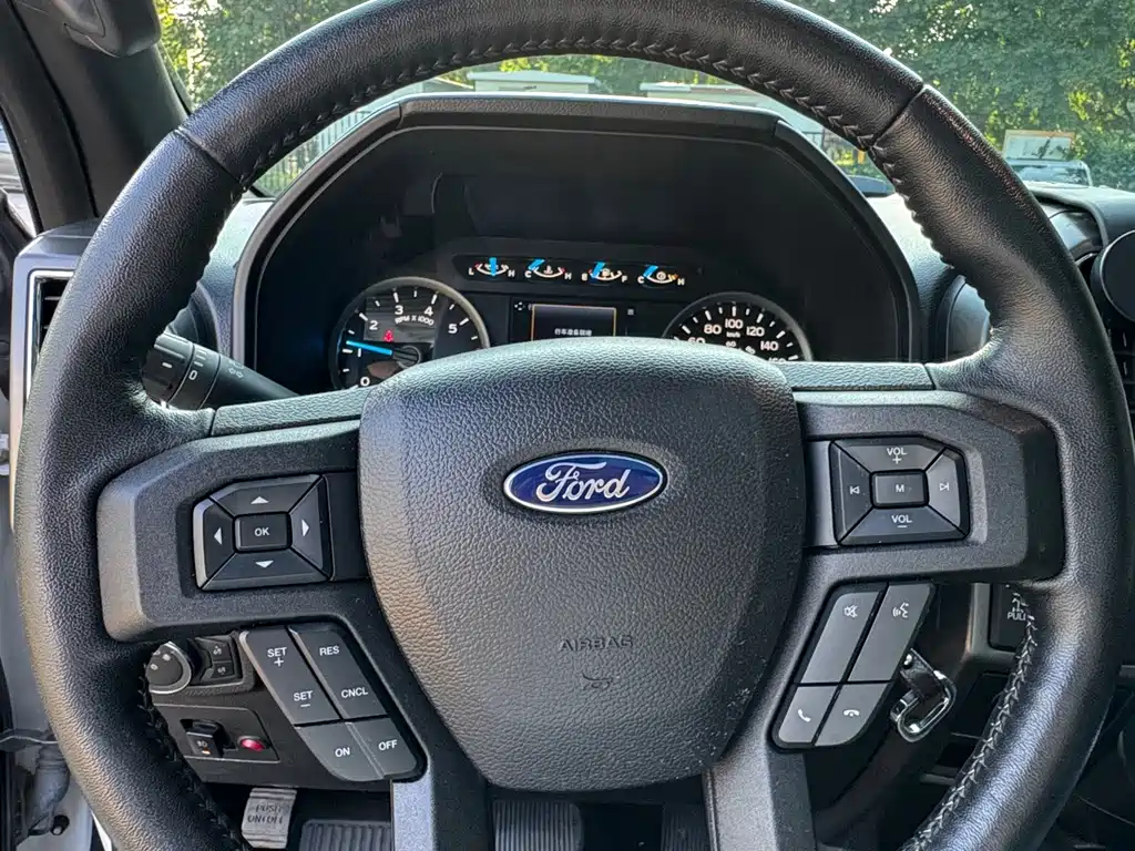 Ford F-150 Raptor — миниатюра 18