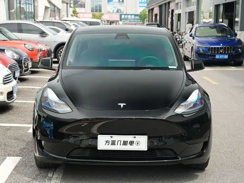 Tesla Model Y — миниатюра 7