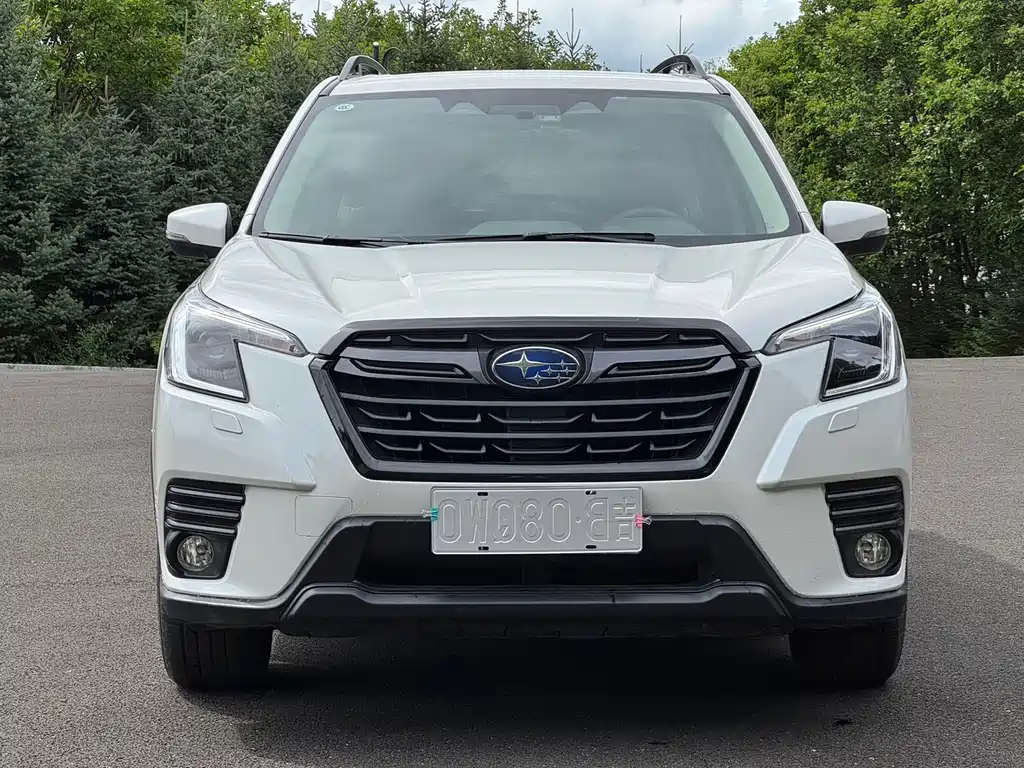 Subaru Forester — миниатюра 2