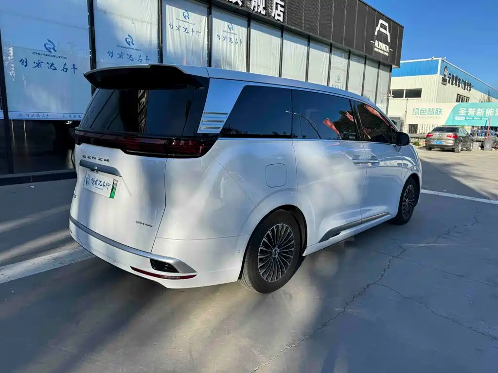 Denza Denza D9 — миниатюра 3