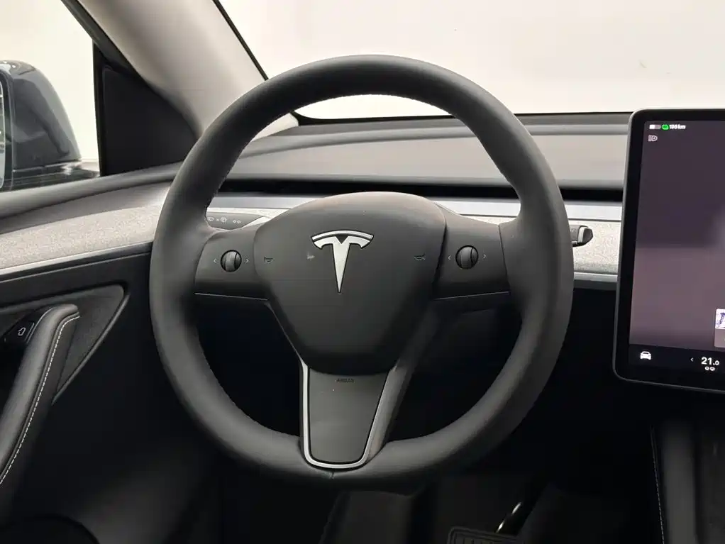 Tesla Model Y — миниатюра 12