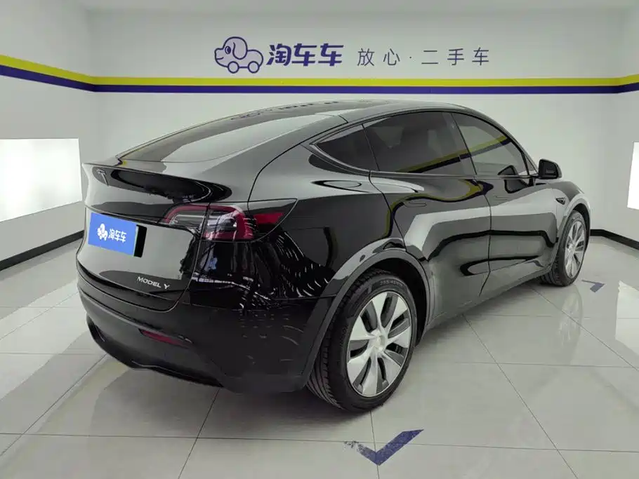 Tesla Model Y — миниатюра 3