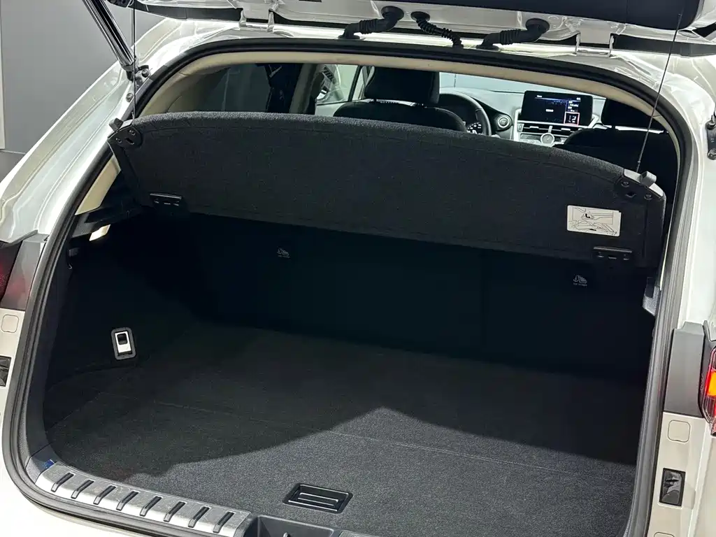 Lexus NX — миниатюра 25