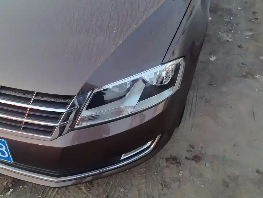 Volkswagen Gran Lavida — миниатюра 5