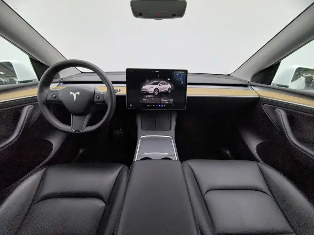 Tesla Model Y — миниатюра 5