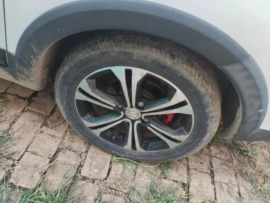 BAIC Senova X25 — миниатюра 6