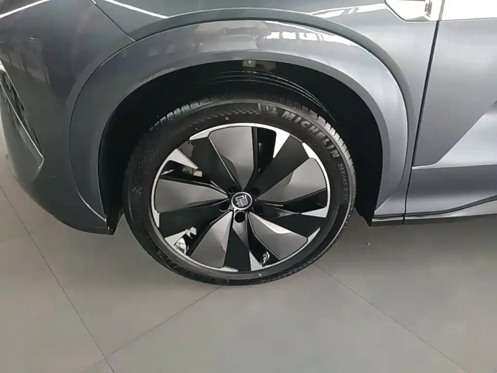 BYD Дон Л. — миниатюра 23