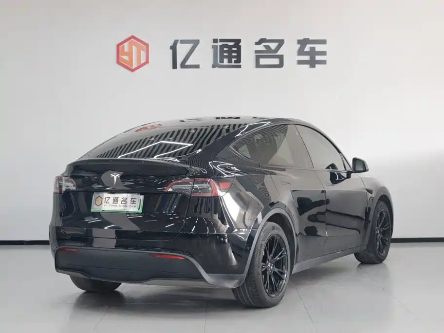 Tesla Model Y — миниатюра 20