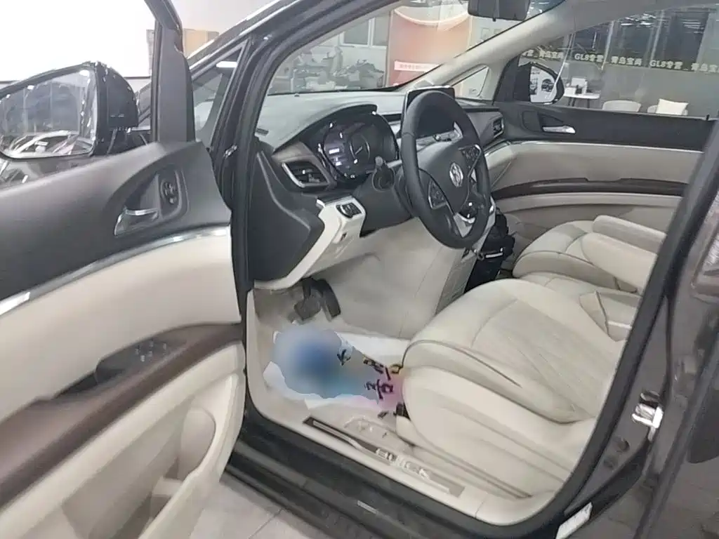 Buick GL8 — миниатюра 16