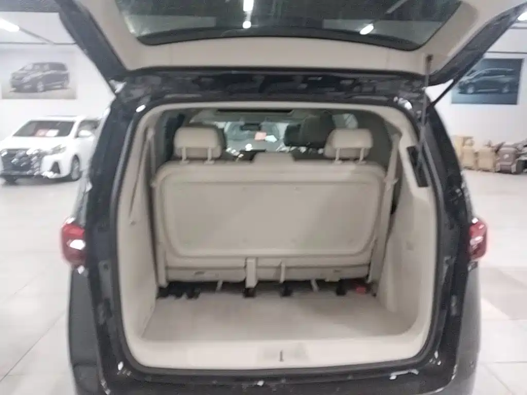 Buick GL8 — миниатюра 19