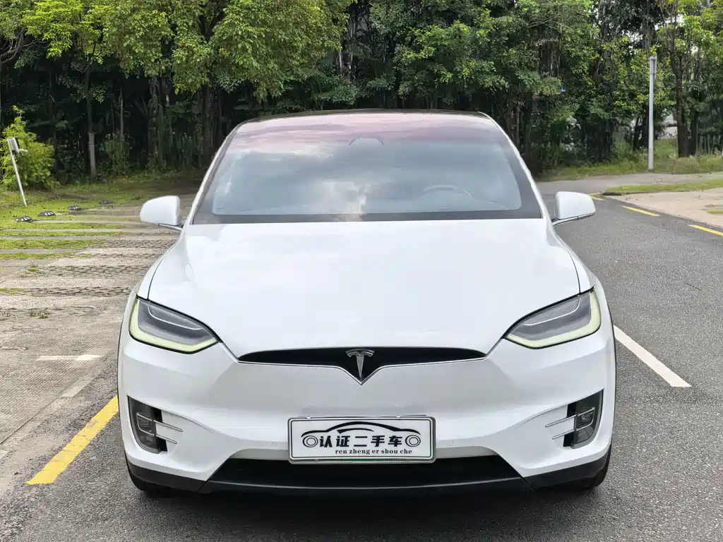 Tesla Model X — миниатюра 2