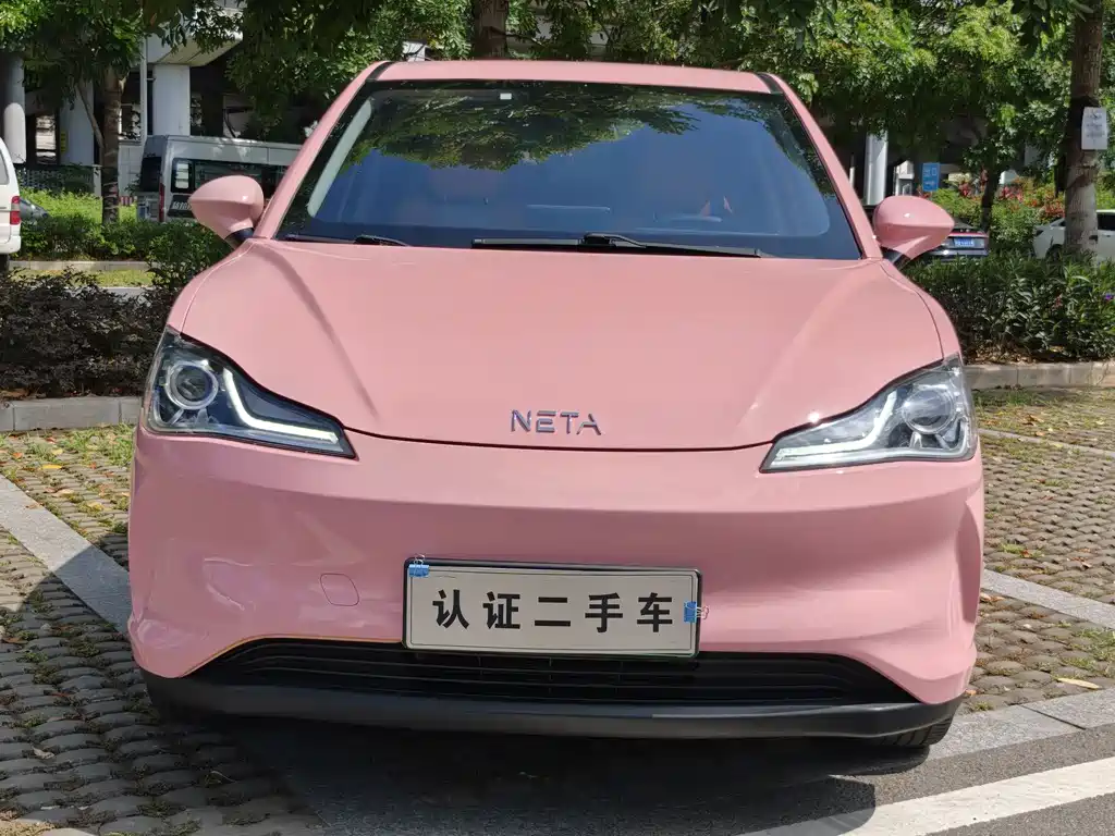 Neta V