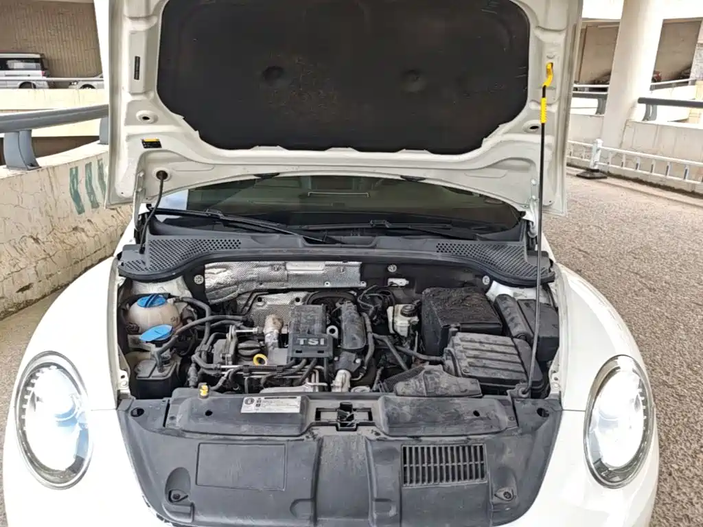 Volkswagen Beetle — миниатюра 20