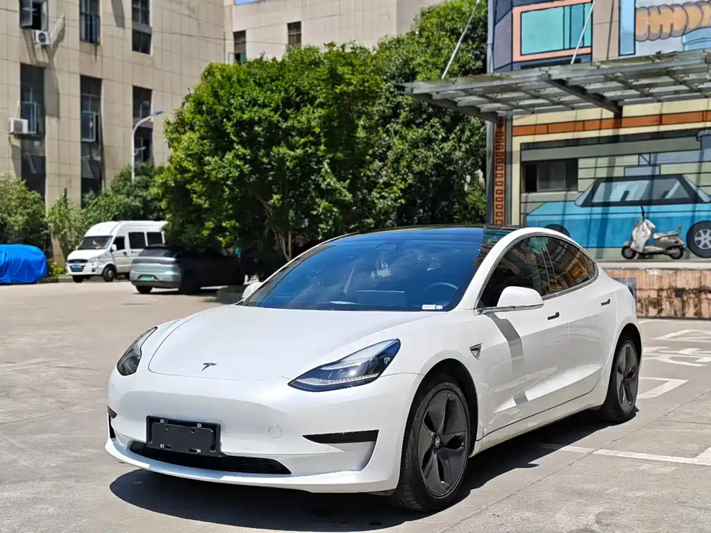 Tesla Model 3 2020