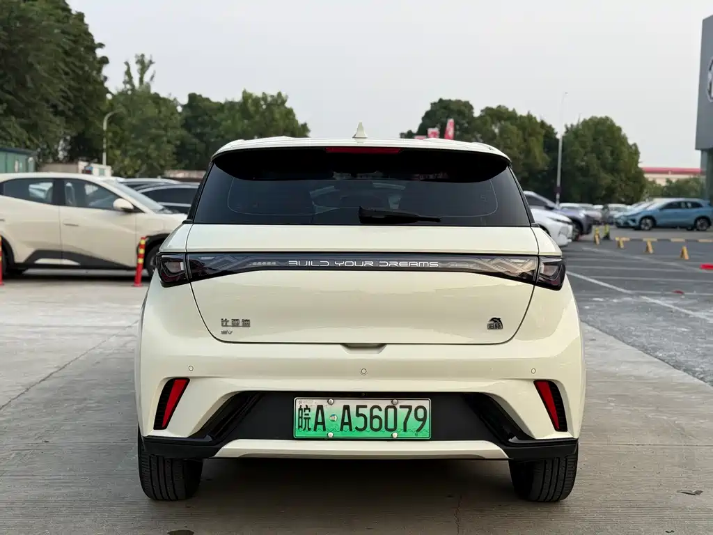 BYD Dolphin 2023 420km Freedom