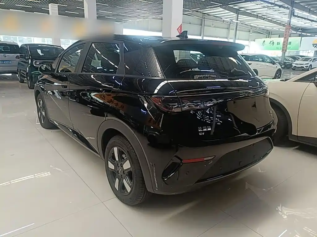BYD Dolphin — миниатюра 5