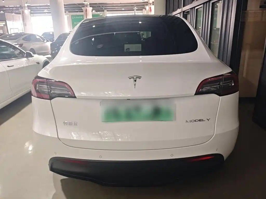 Tesla Model Y — миниатюра 6