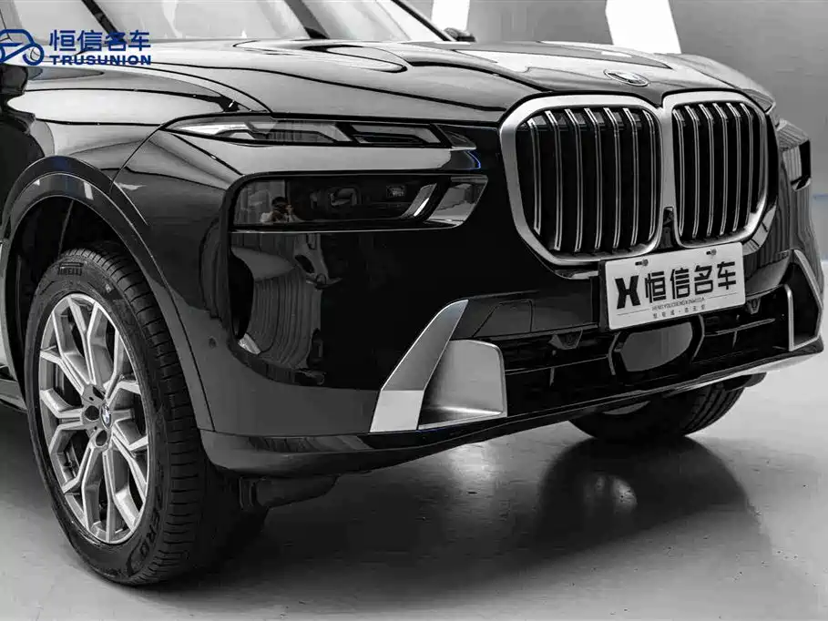 BMW X7 — миниатюра 9