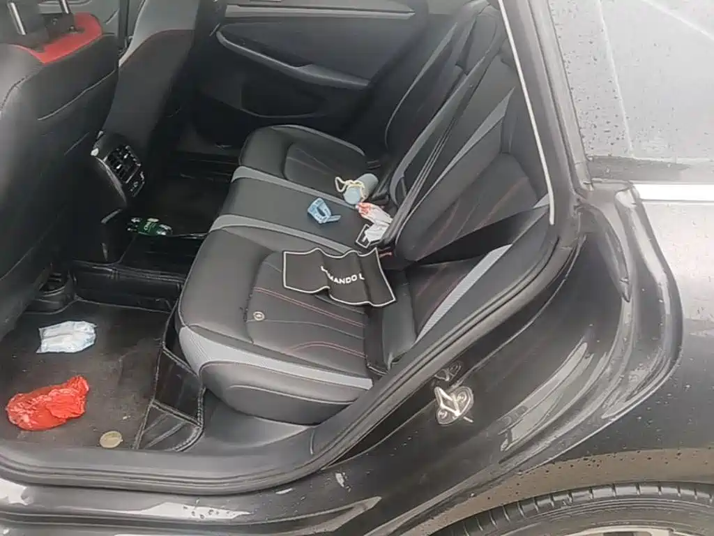 Volkswagen Lamando — миниатюра 17