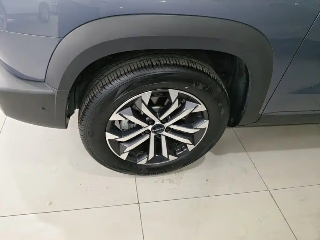 Haval Big Dog — миниатюра 23
