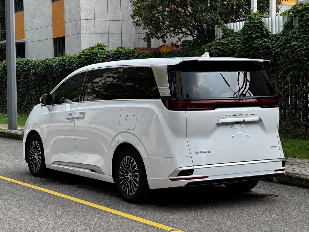 Denza Denza D9 — миниатюра 6