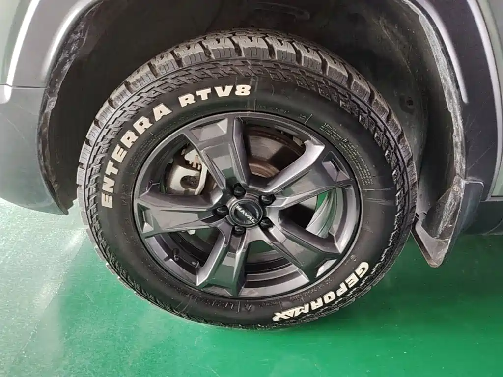 Haval Menglong New Energy — миниатюра 23