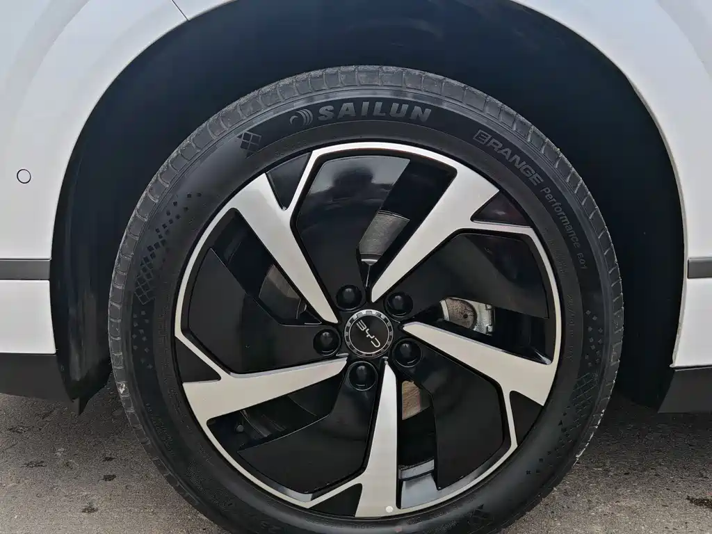 BYD SEA LION 06 NEW ENERGY