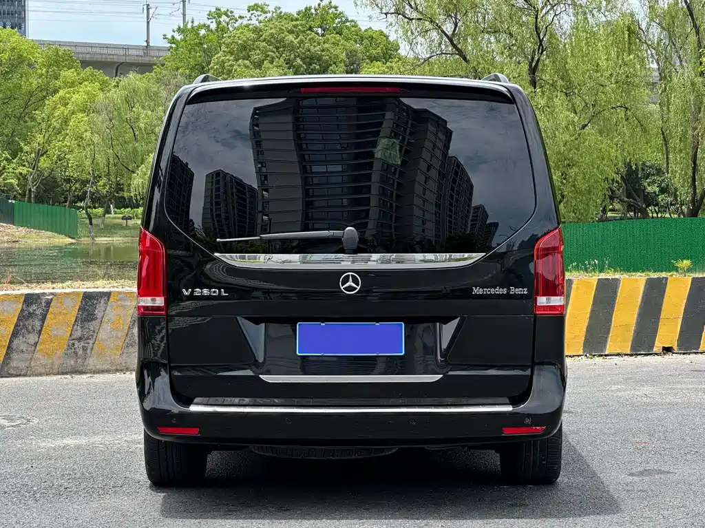 Mercedes-Benz V-Class V 2018 V 260 L Luxury Long Wheelbase VI