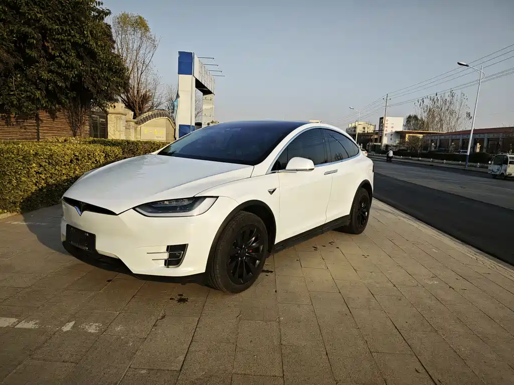 Tesla Model X 2019