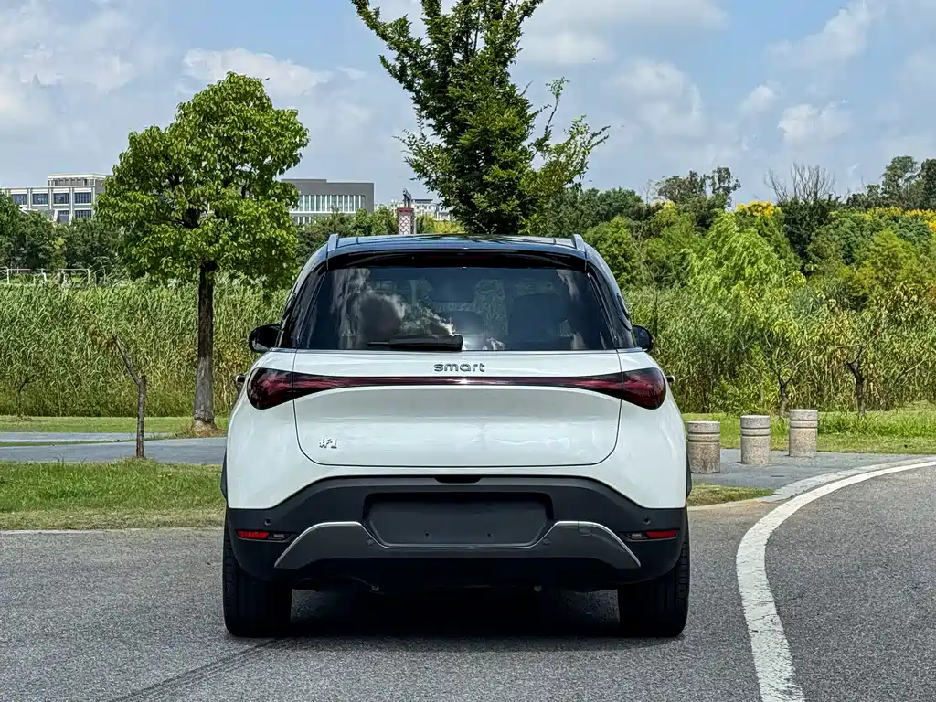 smart Smart #1 — миниатюра 7