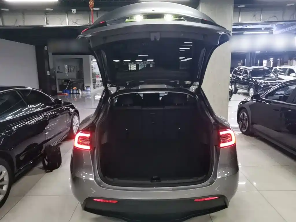 Tesla Model Y — миниатюра 19