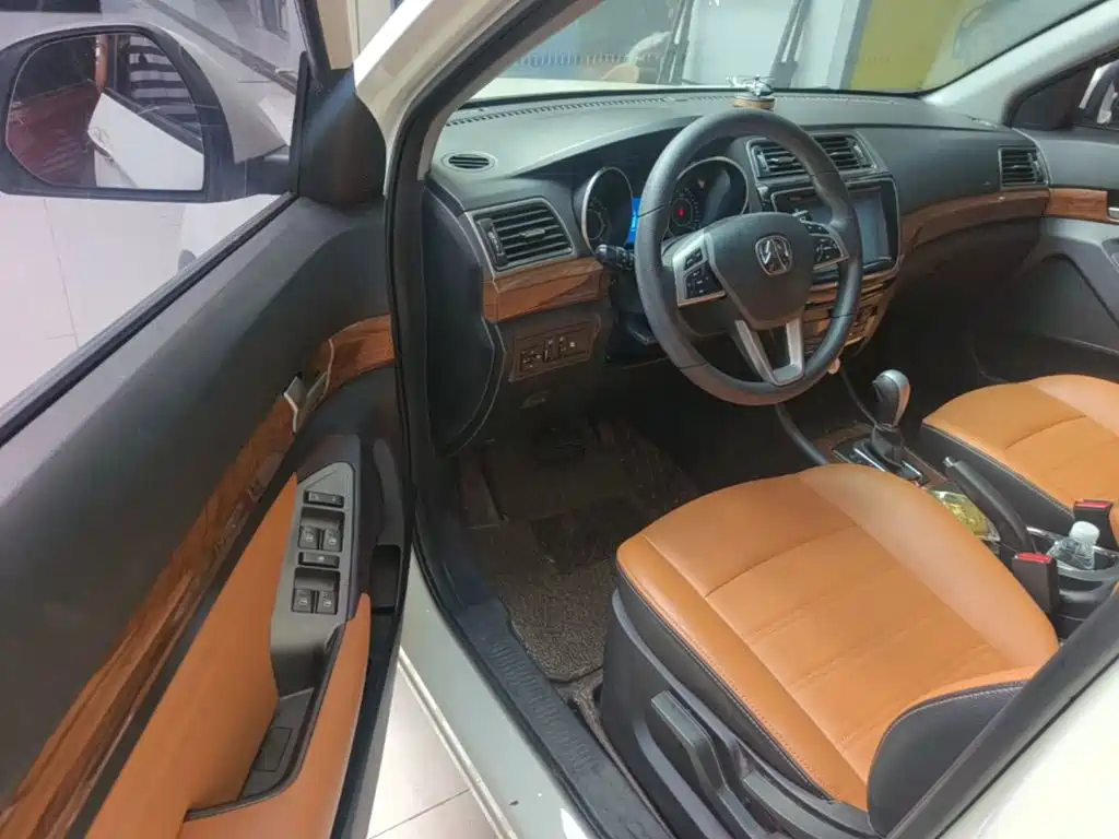 BAW Weiwang S50 — миниатюра 16