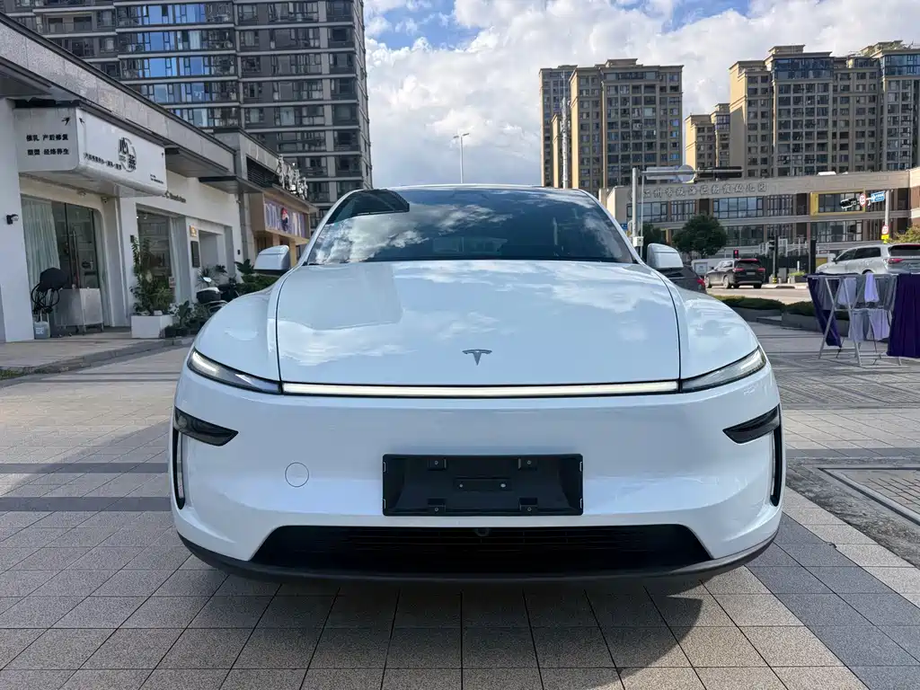 Tesla Model Y — миниатюра 2