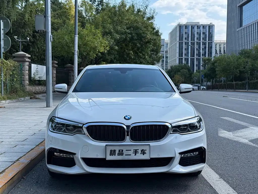 BMW 5 Series — миниатюра 4