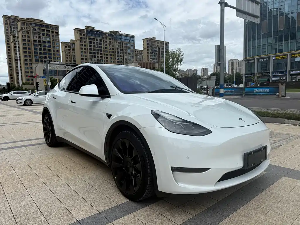 Tesla Model Y — миниатюра 3
