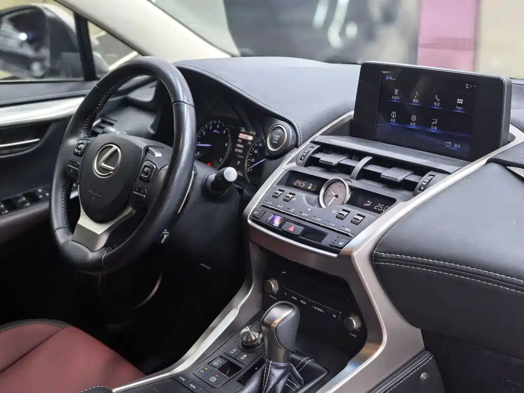 Lexus NX — миниатюра 24